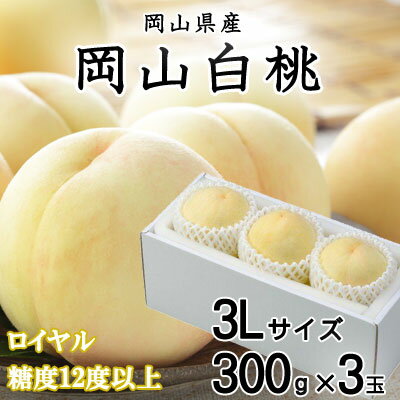 ＜先行予約＞【2024年7月発送開始】岡山白桃 ロイヤル 3玉×300g(3Lサイズ) TY0-0566