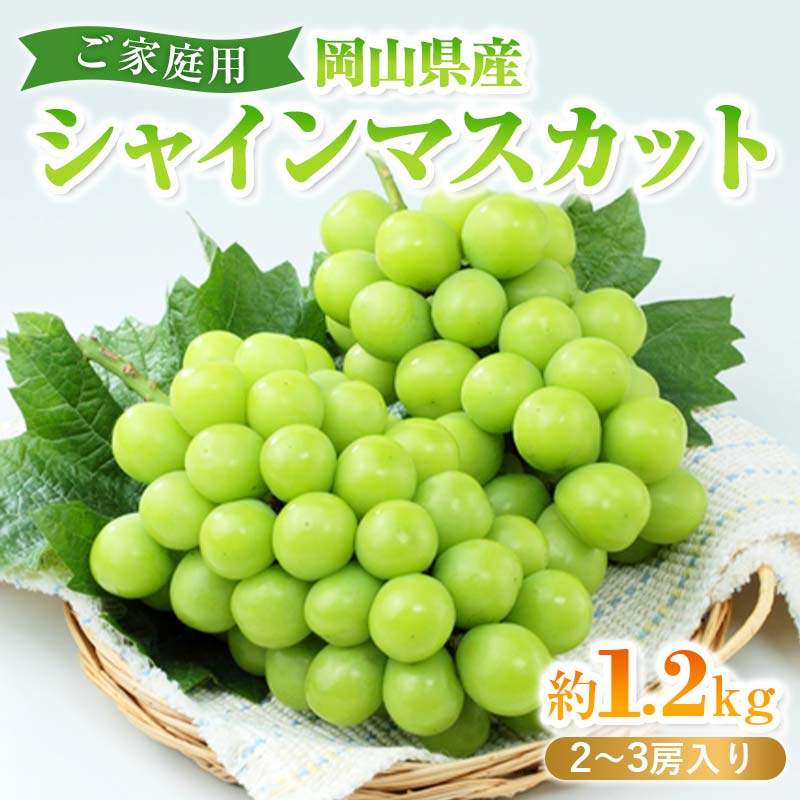 16位! 口コミ数「0件」評価「0」岡山県産シャインマスカット(ご家庭用)＜2024年9月中旬以降発送予定＞ TY0-0323