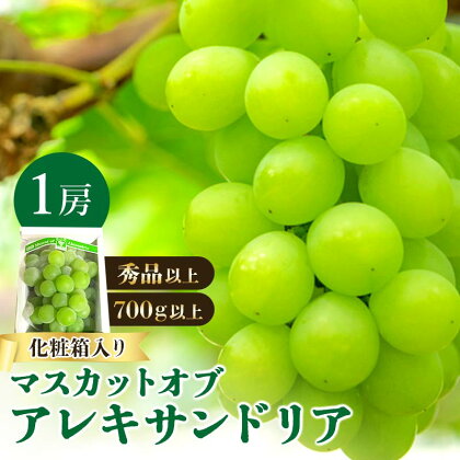 ＜2024年発送＞岡山県産マスカットオブアレキサンドリア1房(秀品以上・700g以上)化粧箱入り TY0-0389