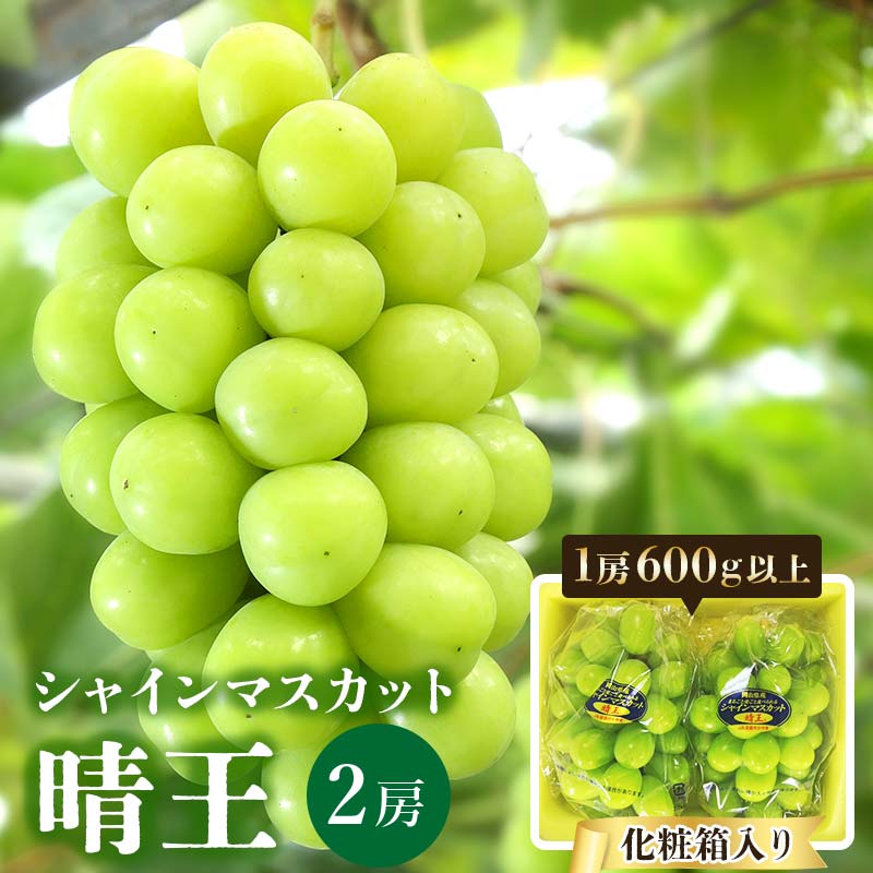 ＜2024年発送＞岡山県産 シャインマスカット『晴王』2房(1房600g以上) 化粧箱入り TY0-0399