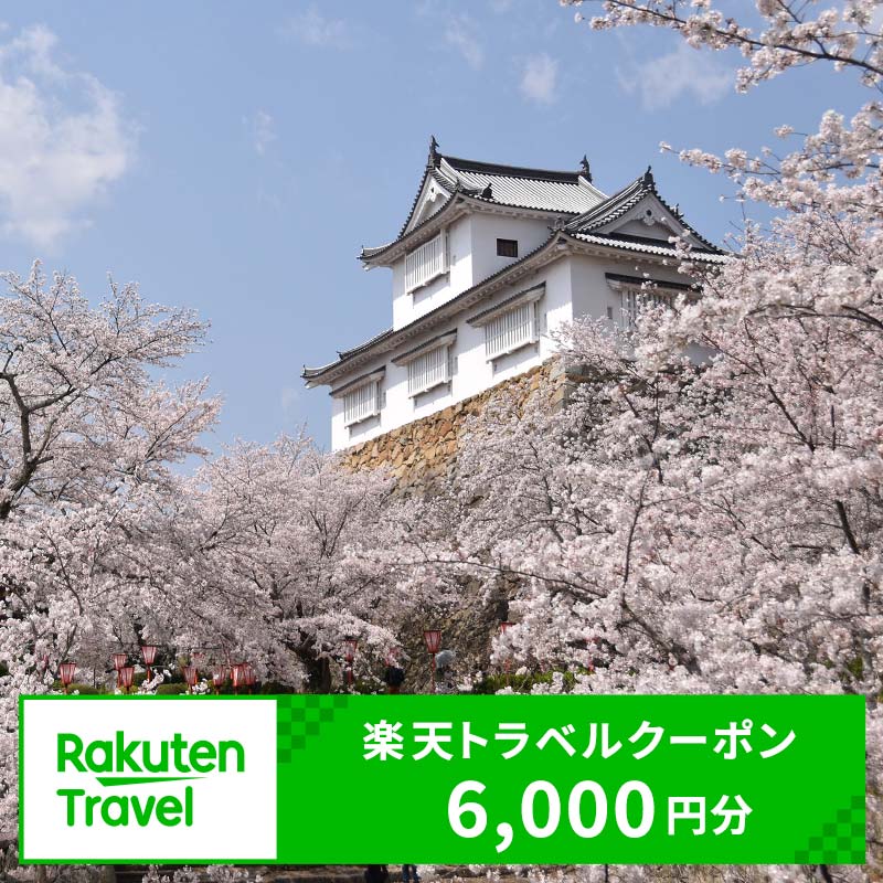 【ふるさと納税】岡山県津山市の対象施設で使える楽天トラベルクーポン　寄付額20,000円（クーポン額6,000円） TY0-0439