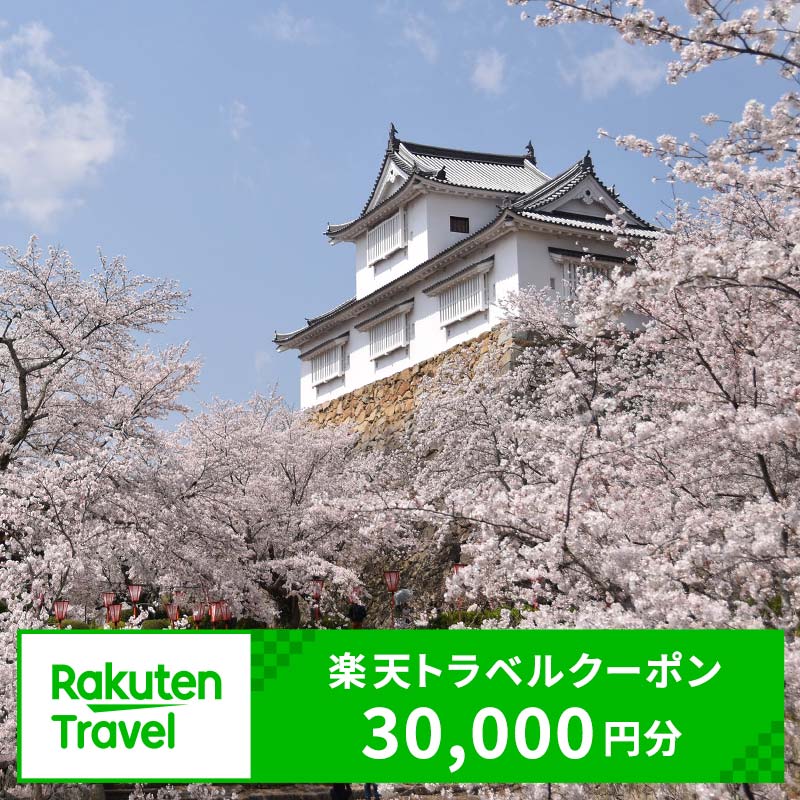 岡山県津山市の対象施設で使える楽天トラベルクーポン　寄付額100,000円（クーポン額30,000円） TY0-0444