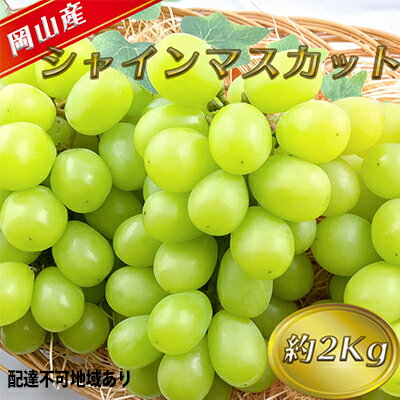 ●先行予約受付●糖度抜群! シャインマスカット 【8月発送分】約2kg【配送不可:離島】 【果物類・ぶどう・マスカット・フルーツ・果物・葡萄】 お届け:2021年8月上旬〜2021年8月下旬