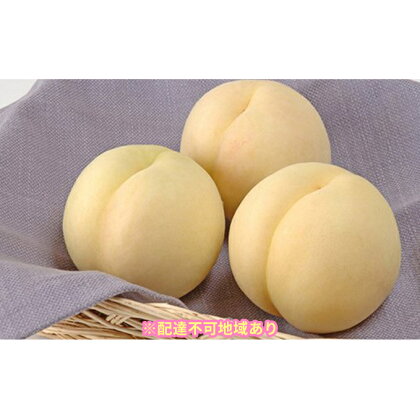 ●先行予約受付●岡山の白桃 大玉3玉(晩生種)(1玉約300g) 【果物・もも・桃・フルーツ・果物類・白桃】 お届け:2021年7月下旬〜2021年8月下旬