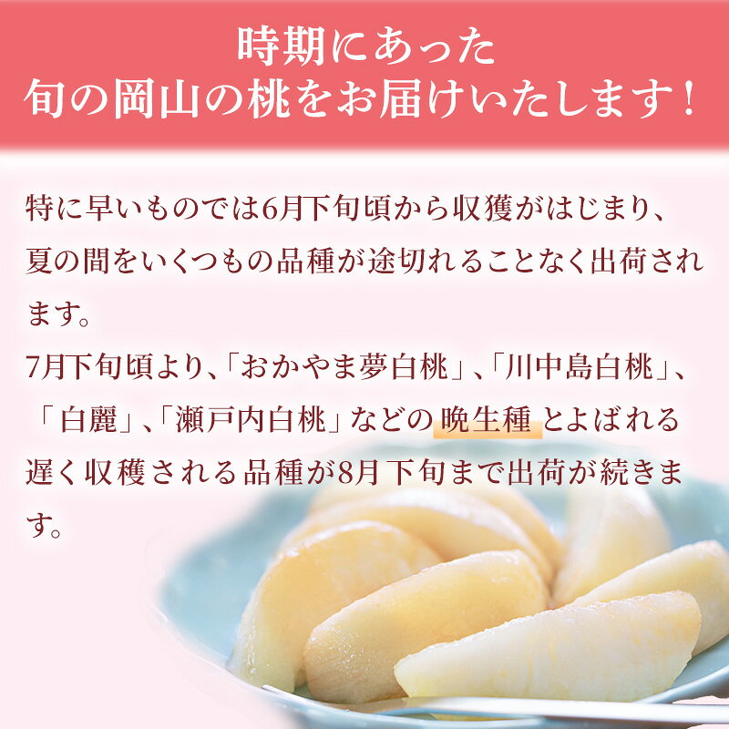 【ふるさと納税】桃 2027年 先行予約 ご家庭用 白桃（晩生種）5～6玉 合計約1.5kg もも モモ 岡山県産 国産 フルーツ 果物 ギフト　お届け：2027年8月上旬～2027年8月下旬 f332046-tamano-10000034 岡山県玉野市 サンプル画像3