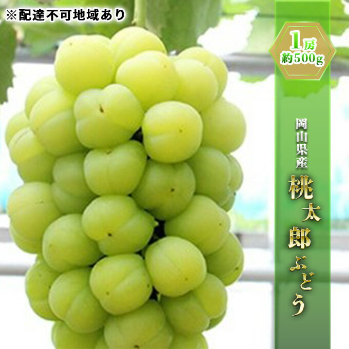 10位! 口コミ数「3件」評価「3.33」ぶどう 2024年 先行予約 桃太郎 ぶどう 1房 約500g ブドウ 葡萄 岡山県産 国産 フルーツ 果物 ギフト　【 ぶどう フルーツ ･･･ 