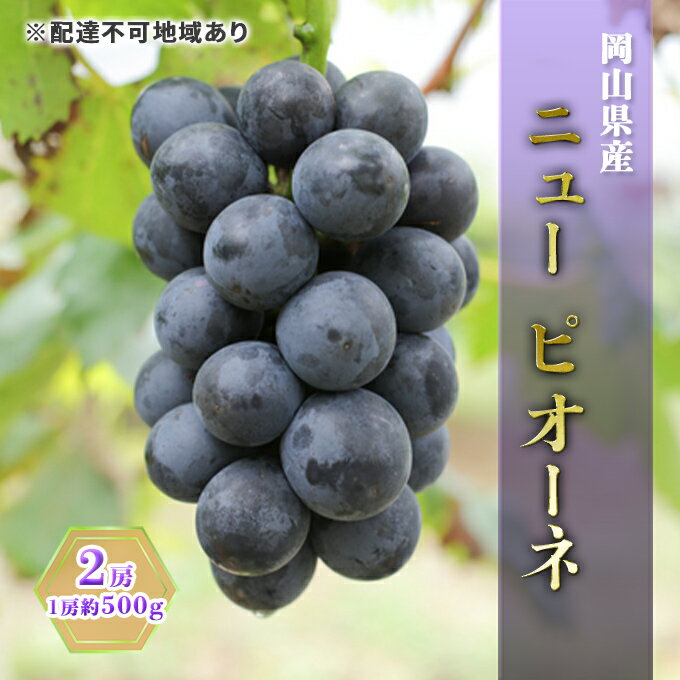 ぶどう 2024年 先行予約 ニュー ピオーネ 2房（1房約500g） ブドウ 葡萄 岡山県産 国産 フルーツ 果物 ギフト　【 果物 ぶどう 果物類 フルーツ 】　お届け：2024年7月上旬～2024年8月下旬