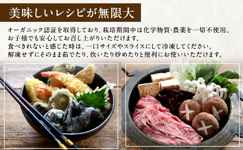 【ふるさと納税】【 産地直送 】 有機JAS 生きくらげ 1kg オーガニック きくらげ 野菜 きのこ 岡山県 玉野市 栽培期間中化学肥料不使用 栽培期間中農薬不使用 野菜セット f332046-tamano-10000079 岡山県玉野市 サンプル画像3