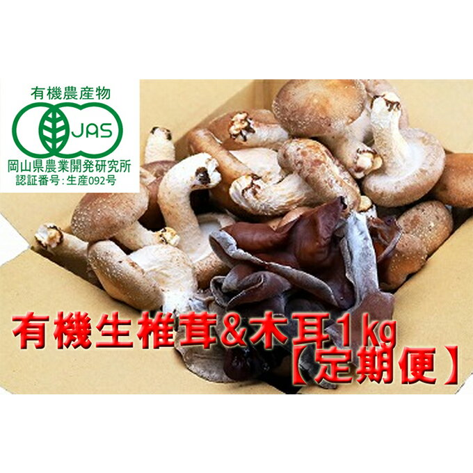 【ふるさと納税】【 産地直送 】 有機JAS 生椎茸 800g ＆ 生きくらげ 200g 定期便 3ヶ月 オーガニック...