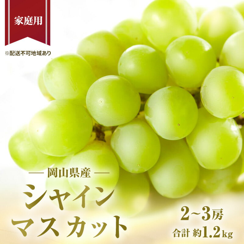 21位! 口コミ数「1件」評価「5」ぶどう 2024年 先行予約 ご家庭用 シャイン マスカット 2～3房 合計約1.2kg ブドウ 葡萄 岡山県産 国産 フルーツ 果物 ギフ･･･ 