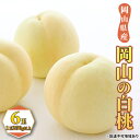 【ふるさと納税】桃 2025年 先行予約 白桃 6玉(1玉250g以上) もも モモ 岡山県産 国産 フルーツ 果物 ギフト 果物類 お届け:2025年7月上...