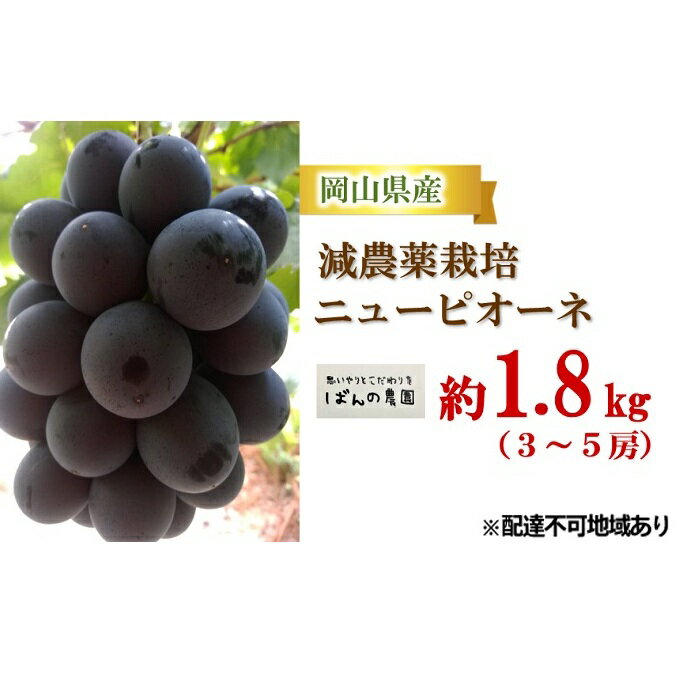 【ふるさと納税】ぶどう 2025年 先行予約 ニュー ピオーネ 約1.8kg 3~5房 減農薬栽培 ブドウ 葡萄 岡山県産 国産 フルーツ 果物 ギフト ばんの農園 種なし 種無しぶどう 果物類 爽やか 酸味 コク お届け:2025年9月上旬~2025年10月上旬