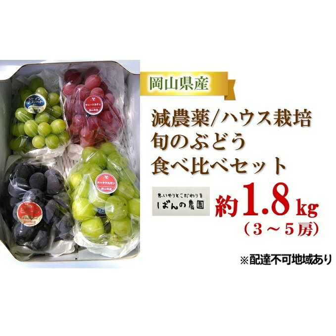 ぶどう 2024年 先行予約 旬のぶどう食べ比べセット 約1.8kg 3〜5房 減農薬/ハウス栽培 ブドウ 葡萄 岡山県産 国産 フルーツ 果物 ギフト ばんの農園 [マスカット フルーツ 果物 ぶどう] お届け:2024年9月上旬〜2024年10月上旬