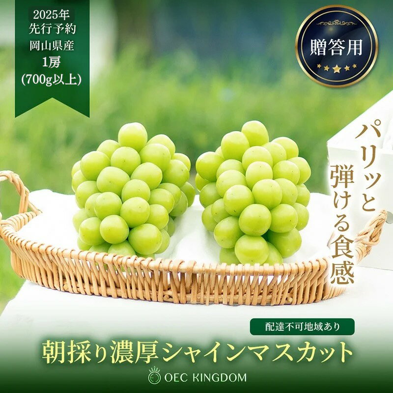 ぶどう 2024年 先行予約 シャイン マスカット 1房(700g以上)贈答クラス ブドウ 葡萄 岡山県産 国産 フルーツ 果物 ギフト OEC KINGDOM ぶどう家 [果物類 ぶどう マスカット フルーツ] お届け:2024年8月下旬〜2024年9月下旬