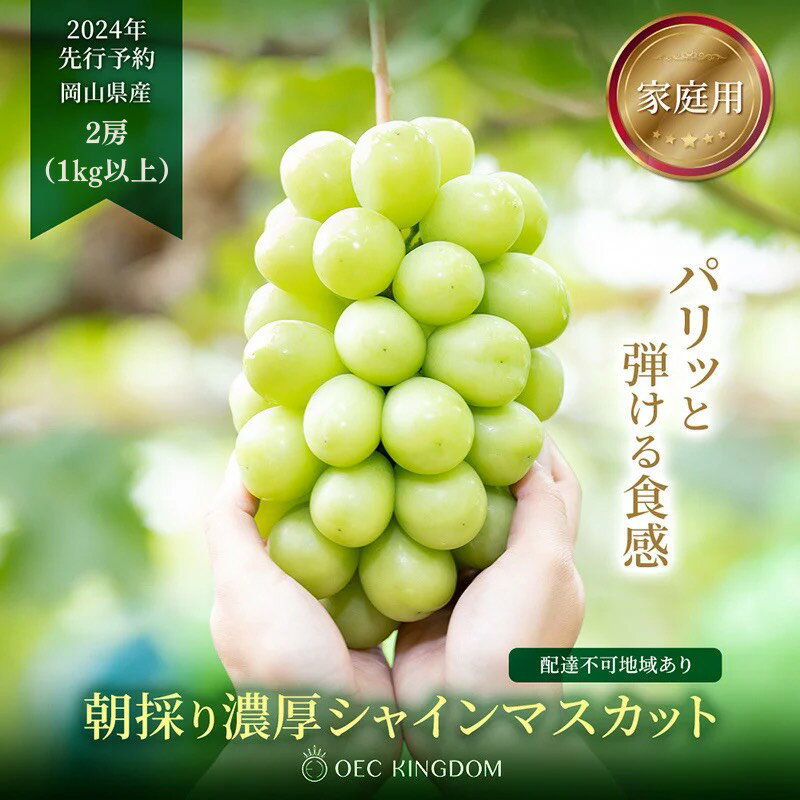 ぶどう 2024年 先行予約 [ご家庭用] シャイン マスカット 2房(合計1kg以上) ブドウ 葡萄 岡山県産 国産 フルーツ 果物 OEC KINGDOM ぶどう家 [果物類 ぶどう マスカット フルーツ] お届け:2024年8月下旬〜2024年9月下旬