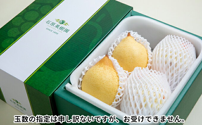 【ふるさと納税】梨 2025年 先行予約 鴨梨（ヤーリー）3～6玉 合計約2kg 贈答箱 【11月下旬～12月中旬頃発送】ナシ なし 岡山県産 国産 フルーツ 果物 ギフト 石原果樹園 　お届け：2025年11月15日～2025年12月20日