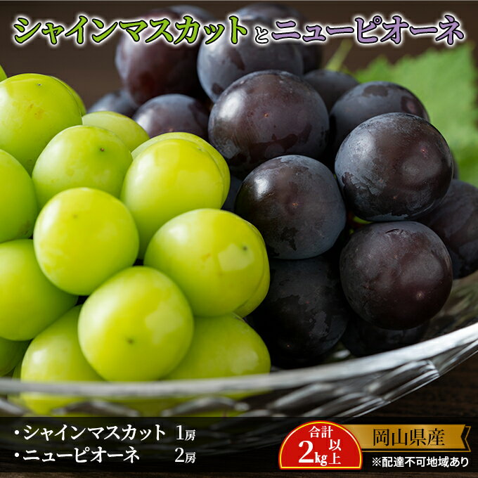 【ふるさと納税】ぶどう 2024年 先行予約 シャイン マスカット 1房 ニュー ピオーネ 2房 合計2kg以上 マスカット ブドウ 葡萄 岡山県産 国産 フルーツ 果物 ギフト　【 果物 ブドウ シャインマスカット 合計2kg以上】　お届け：2024年8月中旬～2024年10月上旬