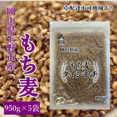 名称もち麦内容量岡山県玉野市産 もち麦(ダイシモチ) 950g×5袋産地岡山県品種／産年／使用割合ダイシモチ/-/単一原料米精米時期別途ラベルに記載販売者株式会社　岡萬岡山県岡山市南区藤田339事業者株式会社 岡萬配送方法常温配送お届け時期2024年6月15日まで （1ヵ月以内でお届けします）備考※画像はイメージです。 ※高温多湿の場所に保管すると稀に虫が発生する恐れがありますので、直射日光を避け涼しいところに保管してください。 ※開封後はお早めにお召し上がりください。 ※北海道・沖縄・離島へはお届け出来ません。 ※上記のエリアからの申し込みは返礼品の手配が出来ないため、「キャンセル」または「寄附のみ」とさせていただきます。予めご了承ください。 ・ふるさと納税よくある質問はこちら ・寄附申込みのキャンセル、返礼品の変更・返品はできません。あらかじめご了承ください。【ふるさと納税】岡山県玉野市産 もち麦 ダイシモチ 950g×5袋　【 お米 ダイシモチ もち麦 米 】　お届け：2024年6月15日まで （1ヵ月以内でお届けします） 【配達不可：北海道・沖縄・離島】 温暖な気候の岡山県玉野市で収穫されたもち麦です。 もち麦には水溶性食物繊維(β-グルカン)が豊富に含まれ、腸内環境の改善や糖質の吸収を抑え、食後の血糖値上昇を抑える機能が報告されています。 ダイシモチの特徴であるアントシアニン・高βグルカンや繊維質や最大限に残し、食べやすいように加工いたしました。 プチプチとした食感が強く、自然に噛む回数が増え、食べ応えのあるものとなっています。 お米 ダイシモチ もち麦 米 寄附金の用途について 事業を指定しない 希望をもって安心して子育てできるまちづくり事業 心豊かな人生がおくれる文化が薫るまちづくり事業 住み慣れた地域で、健康で元気に暮らせるまちづくり事業 自ら備え、支えあい、助けあう、安全安心のまちづくり事業 来て、見て、住みたい、にぎわいあふれるまちづくり事業 受領証明書及びワンストップ特例申請書のお届けについて 【受領証明書】 入金確認後、注文内容確認画面の【注文者情報】に記載の住所にお送りいたします。 発送の時期は、入金確認後1か月程度を目途に、お礼の特産品とは別にお送りいたします。 【ワンストップ特例申請書】 ワンストップ特例申請書は、受領証明書と共にお送りいたします。 1/10必着でご返送ください。 マイナンバーに関する添付書類に漏れのないようご注意ください。 　◆申請書をダウンロードされる場合は以下よりお願いいたします。 申請書のダウンロードはこちら （申請先：〒706-8510 岡山県玉野市宇野1丁目27番1号 玉野市役所財政部財政課 宛） 　◆「自治体マイページ」にてオンラインでのワンストップ受付も行っております。 オンライン申請はこちら 　※登録が必要です。