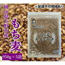 【ふるさと納税】【ふるさと納税】 岡山県玉野市産 もち麦 ダイシモチ 950g×5袋　【お米 ダイシモチ もち麦 米】　お届け：2023年5月31日まで （1ヵ月以内でお届けします）