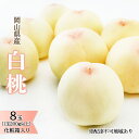 【ふるさと納税】桃 2025年 先行予約 白桃 8玉(1玉200g以上)化粧箱入り もも モモ 岡山県産 国産 フルーツ 果物 ギフト お届け:2025年7月...