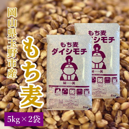 【ふるさと納税】岡山県玉野市産 もち麦 ダイシモチ 10kg (5kg×2袋)　【 餅米 もち米 もち麦 ダイシモチ 10kg 】　お届け：2024年5月31日まで （1ヵ月以内でお届けします）