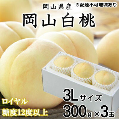 桃 2024年 先行予約 岡山 白桃 ロイヤル 3玉×約300g（3Lサイズ） JA おかやま のもも（早生種・中生種） もも モモ 岡山県産 国産 フルーツ 果物 ギフト　【 岡山 甘い 美味しい 産地直送 贈り物 ギフト 高糖度 】　お届け：2024年7月上旬～2024年8月中旬