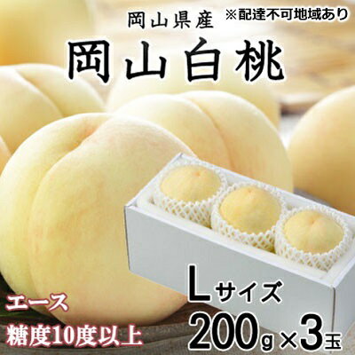 【ふるさと納税】白桃 エース 3玉×約200g（Lサイズ） JA おかやま のもも（早生種・中生種） 岡山県産 桃 もも 果物 フルーツ 2023年 先行予約　【 岡山 甘い 美味しい 産地直送 贈り物 ギフト 高糖度 】　お届け：2023年7月上旬〜2023年8月10日のサムネイル