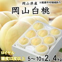 【ふるさと納税】桃 2025年 先行予約 岡山 白桃 ロイヤル 5〜10玉 約2.4kg JA おかやま のもも(早生種・中生種) もも モモ 岡山県産 国産 ...