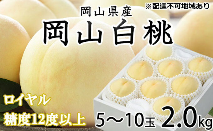 【ふるさと納税】桃 2024年 先行予約 岡山 白桃 ロイヤル 5～10玉 約2kg JAおかやまのもも（早生種・中生種） もも モモ 岡山県産 国産 フルーツ 果物 ギフト　【 岡山 甘い 美味しい 産地直送 贈り物 ギフト 高糖度 】　お届け：2024年7月上旬～2024年8月中旬