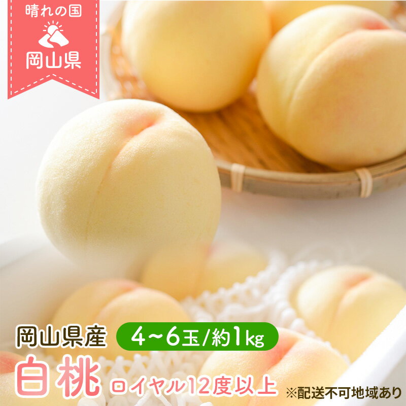 【ふるさと納税】桃 2024年 先行予約 岡山 白桃 ロイヤル 4～6玉 約1kg JA おかやま のもも（早生種・中生種） もも モモ 岡山県産 国産 フルーツ 果物 ギフト　【玉野市】　お届け：2024年7月上旬～2024年8月中旬のサムネイル