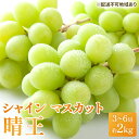 【ふるさと納税】ぶどう 2025年 先行予約 シャイン マスカット 晴王 3房〜6房 約2kg ブドウ 葡萄 岡山県産 国産 フルーツ 果物 ギフト シャインマ...