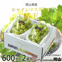 【ふるさと納税】ぶどう 2026年 先行予約 シャイン マスカット 晴王 約600g×2房 ブドウ 葡萄 岡山県産 国産 フルーツ 果物 ギフト シャインマスカット 美しい 大粒 種なし 弾力 高糖度 甘い  お届け:2026年7月上旬~2026年8月中旬