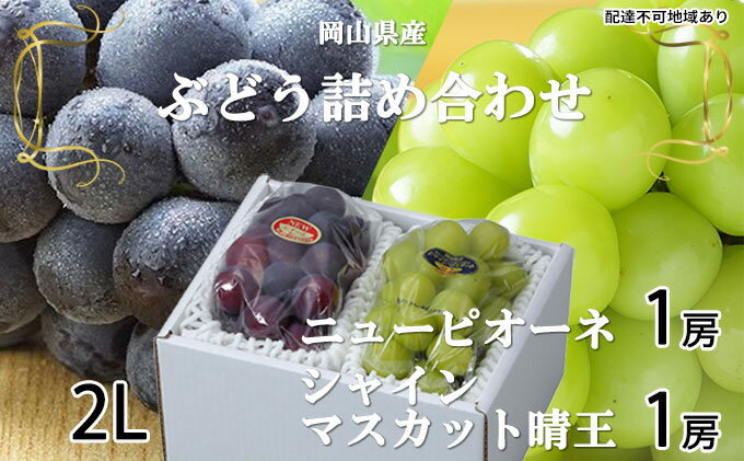 【ふるさと納税】ニューピオーネ 1房 約500g シャインマスカット 晴王 1房 約500g（2Lサイズ）詰め合わせ 岡山県産　【晴王 シャインマスカット 大粒 種なし 高糖度 甘い ニューピオーネ ピオーネ 詰め合わせ セット 】　お届け：2022年8月下旬〜2022年9月下旬