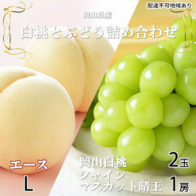 【ふるさと納税】桃 ぶどう 2026年 先行予約 岡山 白桃 エース 2玉×約200g(Lサイズ、早生種・中生種)シャイン マスカット 晴王 1房約400g 詰め合わせ 岡山県産 フルーツ お届け:2026年7月上旬~2026年8月中旬