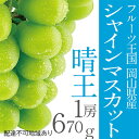 【ふるさと納税】ぶどう 2024年 先行予約 シャイン マ