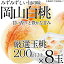 【ふるさと納税】桃 2024年 先行予約 岡山の白桃 200g以上×8玉 白桃 旬 みずみずしい 晴れの国 おかやま 岡山県産 フルーツ王国 果物王国　【 夏の果物 果汁 とろける 上品な香り 】　お届け：2024年7月上旬～2024年7月下旬