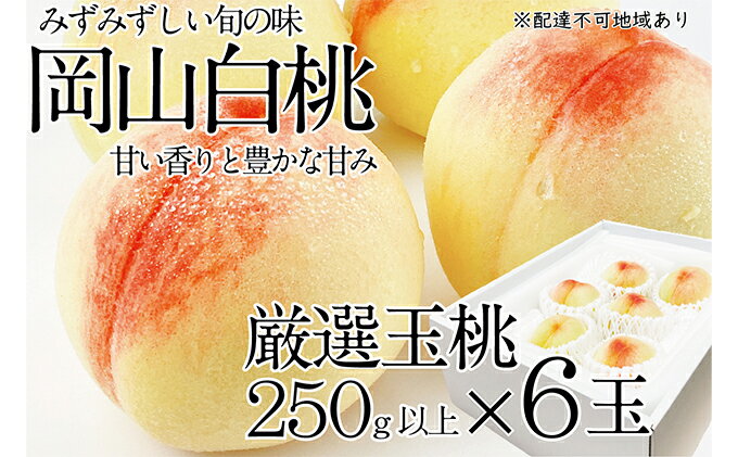 【ふるさと納税】桃 2024年 先行予約 岡山の白桃 250g以上×6玉 白桃 旬 みずみずしい 晴れの国 おかやま 岡山県産 フルーツ王国 果物王国　【 夏の果物 果汁 とろける 上品な香り 】　お届け：2024年7月上旬～2024年7月下旬