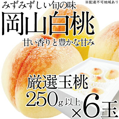 【ふるさと納税】桃 2024年 先行予約 岡山の白桃 250g以上×6玉 白桃 旬 みずみずしい 晴れの国 おかやま 岡山県産 フルーツ王国 果物王国　【 夏の果物 果汁 とろける 上品な香り 】　お届け：2024年7月上旬～2024年7月下旬