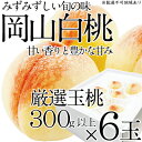 【ふるさと納税】桃 2024年 先行予約 岡山の白桃 300g以上×6玉 白桃 旬 みずみずしい 晴れの国 おかやま 岡山県産 フルーツ王国 果物王国　【 夏の果物 果汁 とろける 上品な香り 】　お届け：2024年7月上旬～2024年7月下旬