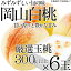 【ふるさと納税】桃 2024年 先行予約 岡山の白桃 300g以上×6玉 白桃 旬 みずみずしい 晴れの国 おかやま 岡山県産 フルーツ王国 果物王国　【 夏の果物 果汁 とろける 上品な香り 】　お届け：2024年7月上旬～2024年7月下旬