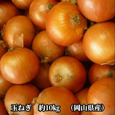 【ふるさと納税】先行予約 玉ねぎ 約10kg（岡山県産） 晴れの国ファーム　【 野菜 万能 食材 シャキシャキ 甘い 料理 オニオン ソテー オニオンスープ オニオンリング 】　お届け：2024年7月中旬～2024年9月中旬