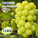 【ふるさと納税】越冬 ぶどうシャイン マスカット 1房 約600g 岡山県産 四代目 五果苑 果物類 フルーツ 果物 糖度20度 低温貯蔵 種なし 皮ごと食べられる 甘み ご進物  お届け:2025年11月下旬~2026年4月下旬