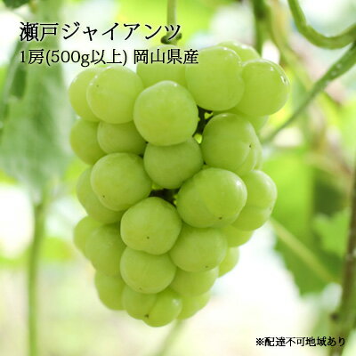 【ふるさと納税】瀬戸ジャイアンツ 1房（500g以上） 岡山県産 葡萄 ぶどう 果物 フルーツ 2023年 先行予約　【 果物 ぶどう フルーツ デザート スイーツ 芳醇 香り 甘み 種がない 皮ごと 人気 完熟 】　お届け：2023年7月中旬〜2023年9月下旬のサムネイル