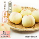 【ふるさと納税】桃 2026年 先行予約 白桃 6玉(1玉250g以上)等級: ロイヤル 化粧箱入り もも モモ 岡山県産 国産 フルーツ 果物 ギフト 最高等級品 糖度12.0度以上 芳潤な香り贈答用 果汁滴る お届け:2026年7月上旬~2026年8月上旬