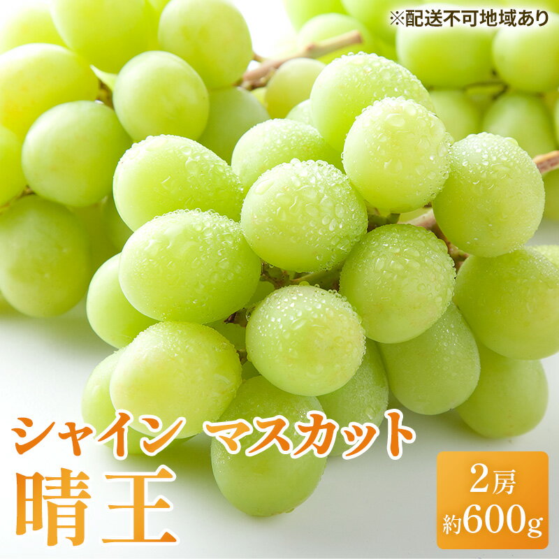 【ふるさと納税】ぶどう 2025年 先行予約 シャイン マスカット 晴王 約600g×2房 ブドウ 葡萄 岡山県産 国産 フルーツ 果物 ギフト 果物類 お届け：2025年8月下旬～2025年11月下旬
