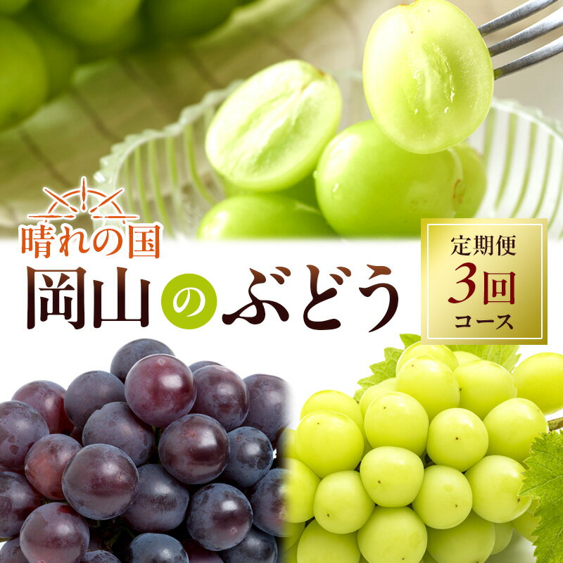 ぶどう 定期便 2024年 先行予約 晴れの国 岡山 の ぶどう定期便 3回コース 葡萄 ブドウ 岡山県産 国産 セット ギフト [定期便・ 旬のぶどう アレキサンドリア ニューピオーネ 強い甘み シャインマスカット ] お届け:2024年7月上旬〜2024年9月下旬