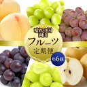 【ふるさと納税】桃 ぶどう 梨 定期便 2025年 先行予約 晴れの国 岡山 の フルーツ 定期便 6回コース もも 葡萄 なし 岡山県産 国産 セット ギフト...
