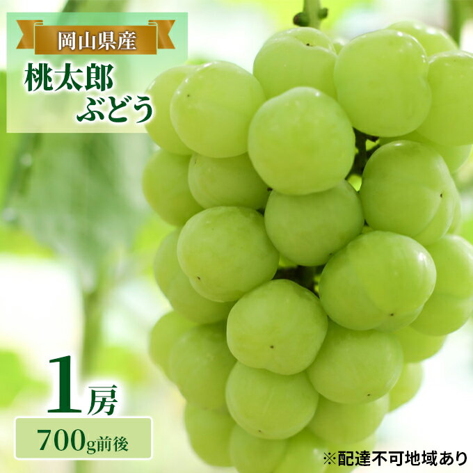 【ふるさと納税】ぶどう 2024年 先行予約 桃太郎 ぶどう 1房 700g前後 ブドウ 葡萄 岡山県産 国産 フルーツ 果物 ギフト 【 果物 フルーツ デザート 食後 種なし 皮ごと 】 お届け：2024年9月上旬～2024年10月上旬