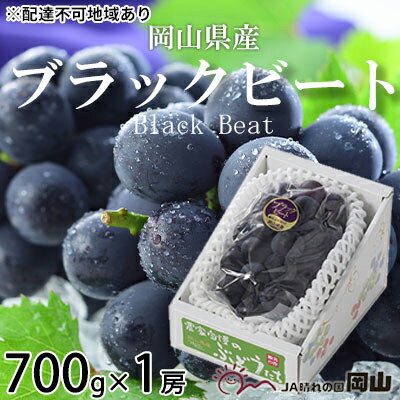 名称ブラックビート内容量ブラックビート 約700g×1房 岡山県内産（5条8号ハ） ※お届け日、時間の指定は申し訳ないですが、お受けできません。 ※ぶどうは大変傷みやすいです。受取後すぐにお品の状態をご確認ください。 ※生ものですので、なるべく早めにお召し上がり下さい。産地岡山県事業者はちやフルーツ（玉野市）配送方法冷蔵配送お届け時期2024年8月中旬～2024年9月上旬備考※画像はイメージです。 ※オンライン決済のみの取扱となります。 ※北海道、沖縄県、離島にはお届けできません。 ※上記のエリアからの申し込みは返礼品の手配が出来ないため、「キャンセル」または「寄附のみ」とさせていただきます。予めご了承ください。 ※お届け日、時間の指定は申し訳ないですが、お受けできません。 ※記載しています発送期間内で順次配送させていただきます。 ※出荷時期になりましたら、別途メールにてお届けについてのご案内をさせていただきます。 ※天候や収穫状況によりお届け時期が変わることがあります。万が一手配ができないときは別途ご連絡させていただく場合がございます。 ※本品は”押し””キズ”等、箱毎に検品を行い、梱包には細心の注意を払い出荷致しますが、輸送中の振動などを原因とする若干の”押し””キズ”等が入る場合もありますので、誠に恐縮ですがご理解の上、お申込み下さい。 ※賞味期限：出荷日より冷蔵4日 ※お品の発送には万全を期しておりますが、輸送中の揺れや扱いなどで品質不良があった場合は必ず「全量の写真・画像」を添付の上、お早めにメールでご連絡ください。 ・ふるさと納税よくある質問はこちら ・寄附申込みのキャンセル、返礼品の変更・返品はできません。あらかじめご了承ください。【ふるさと納税】ぶどう 2024年 先行予約 ブラックビート 約700g×1房 ブドウ 葡萄 岡山県産 国産 フルーツ 果物 ギフト　【 果物 フルーツ 岡山のブドウ デザート 食べ物 国産 日本産 】　お届け：2024年8月中旬～2024年9月上旬 配達不可：北海道・沖縄・離島 種が無く大粒のブラックビートとは、黒ぶどうを代表する2つの品種である「藤稔」と「ピオーネ」を交配して生まれた新しい品種で、「黒ぶどうのサラブレッド」ととも呼ばれています。果皮は黒に近い紫黒色で、甘味と酸味のバランスが良く、果肉はしっかりしていて弾力があり、かじると果汁が口の中に広がります。 果物 フルーツ 岡山のブドウ デザート 食べ物 国産 日本産 寄附金の用途について 事業を指定しない 希望をもって安心して子育てできるまちづくり事業 心豊かな人生がおくれる文化が薫るまちづくり事業 住み慣れた地域で、健康で元気に暮らせるまちづくり事業 自ら備え、支えあい、助けあう、安全安心のまちづくり事業 来て、見て、住みたい、にぎわいあふれるまちづくり事業 受領証明書及びワンストップ特例申請書のお届けについて 【受領証明書】 入金確認後、注文内容確認画面の【注文者情報】に記載の住所にお送りいたします。 発送の時期は、入金確認後1か月程度を目途に、お礼の特産品とは別にお送りいたします。 【ワンストップ特例申請書】 ワンストップ特例申請書は、受領証明書と共にお送りいたします。 1/10必着でご返送ください。 マイナンバーに関する添付書類に漏れのないようご注意ください。 　◆申請書をダウンロードされる場合は以下よりお願いいたします。 申請書のダウンロードはこちら （申請先：〒706-8510 岡山県玉野市宇野1丁目27番1号 玉野市役所財政部財政課 宛） 　◆「自治体マイページ」にてオンラインでのワンストップ受付も行っております。 オンライン申請はこちら 　※登録が必要です。