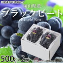 【ふるさと納税】ぶどう 2025年 先行予約 ブラックビート 約500g×2房 ブドウ 葡萄 岡山県産 国産 フルーツ 果物 ギフト 岡山のブドウ デザート 食べ物 日本産 お届け:2025年8月中旬~2025年9月上旬